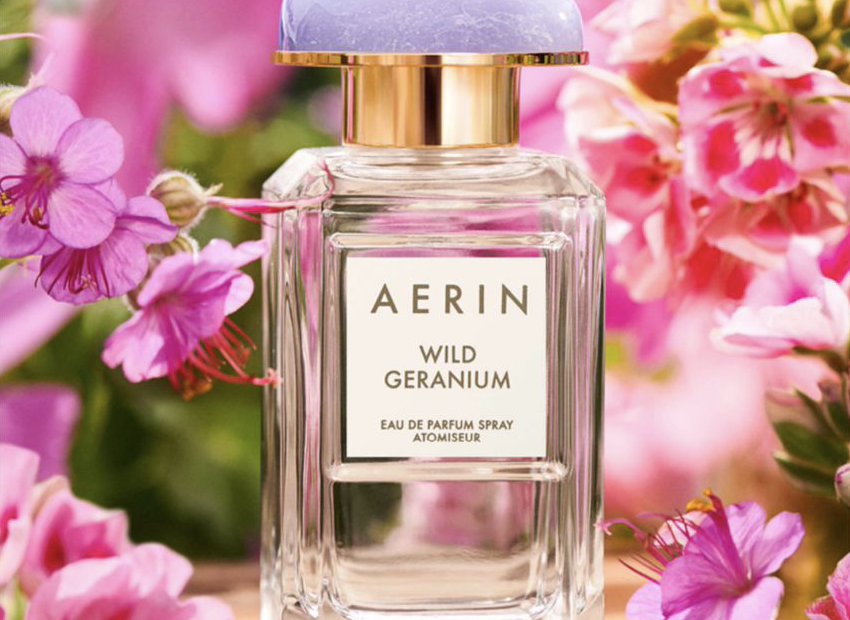 Best Perfumes for Women Best Women's Perfume 2020 Top Fragrances of