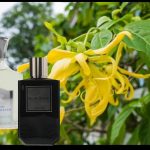 Best Ylang-Ylang Perfumes for Men