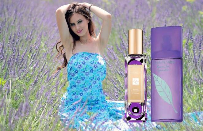 lavender perfume